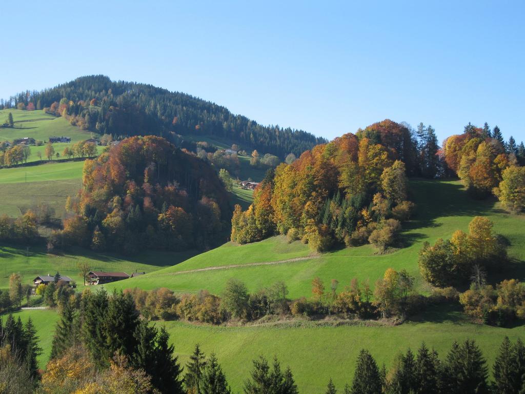 Appartement Gwiggner Niederau Bagian luar foto