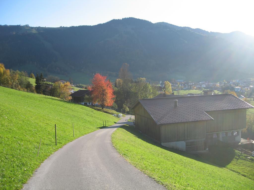 Appartement Gwiggner Niederau Bagian luar foto