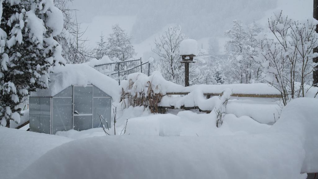 Appartement Gwiggner Niederau Bagian luar foto