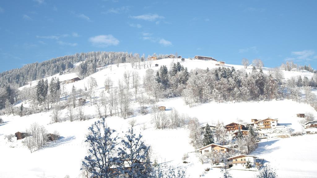 Appartement Gwiggner Niederau Bagian luar foto