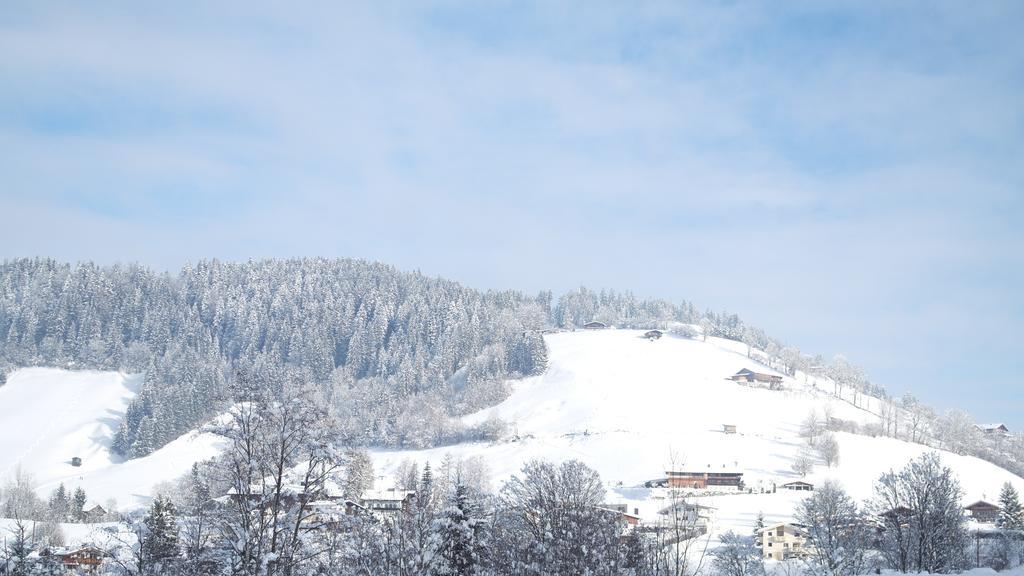 Appartement Gwiggner Niederau Bagian luar foto